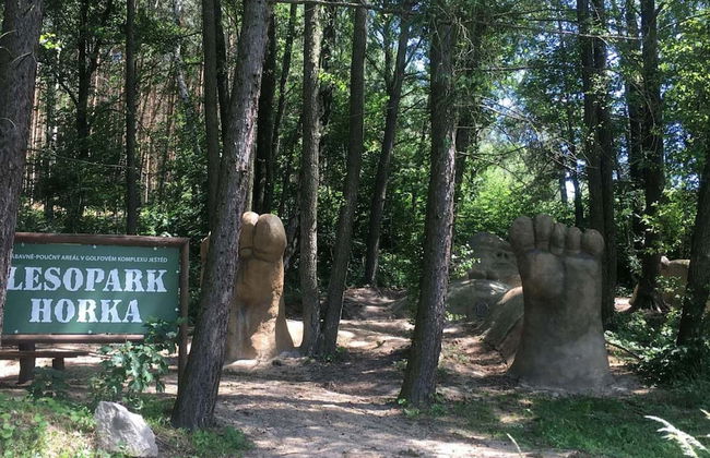 Rozstani Lrls025 in Svetl pod Je Tedem - Photo 49