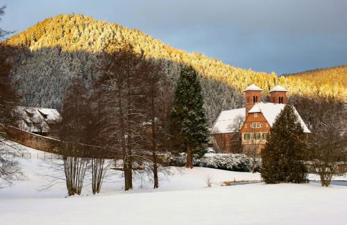 Design House In Black Forest Near Baiersbronn - Photo 32