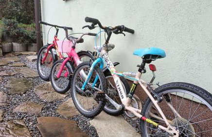 Dom w górach Przy szlaku - Foto 58