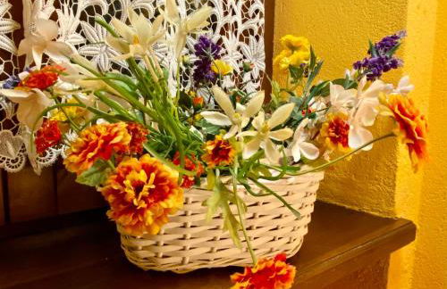 La Rosa di Langa - Charming Panoramic House - Foto 66