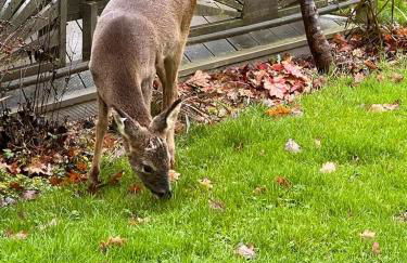 Luxury, private, secure self-contained Coach House, near Wythall and close to the NEC - Foto 33