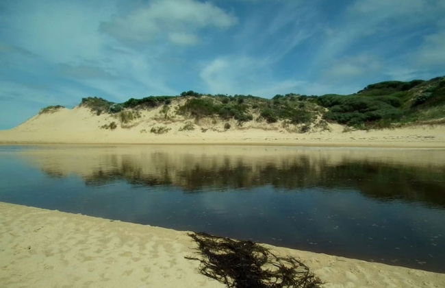 Your Ocean Oasis Ocean Country Views Spa Pet Friendly Fireplace - Foto 73