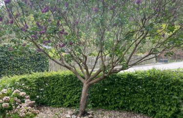 Auf Mühlenfeld - Photo 12