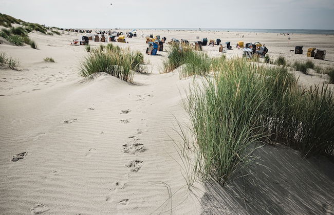 Winkelschiffchen I - Foto 71