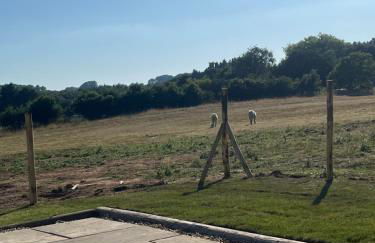 Apple Blues Farm - Foto 22