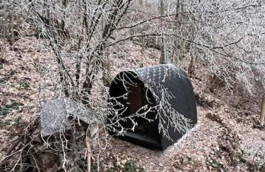 Happy Fuchsbau Ferienwohnung - Foto 9