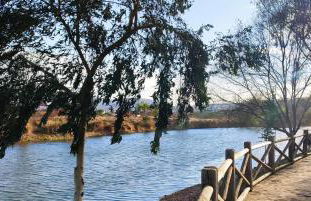 La Casona del Bullaque - Foto 62