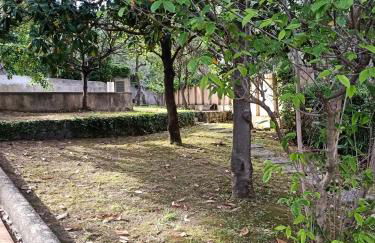 L' eden di Erasmo - Foto 55