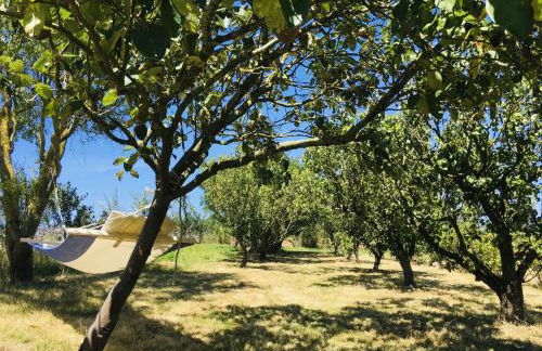 Gîtes pour grand groupe 18 personnes à 15 mins du Puy du Fou - Foto 1