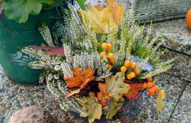 Agroturystyka Magnolia - Foto 41