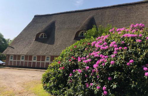 Ferienwohnungen Unter den Eichen - Foto 4