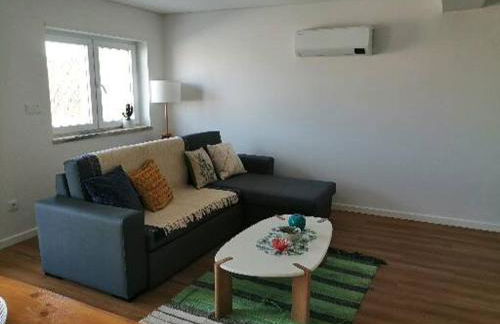 zélu apartamento centro da Guarda - Foto 11