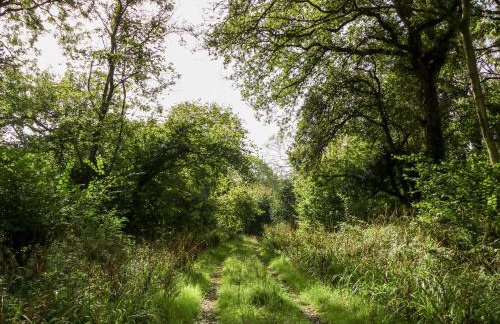 Dairy Cottage - Foto 59