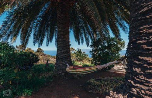 Casa Palmera - Photo 29