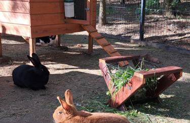 Dolina Miodu - Agro Kaszuby, Sauna, Balia - Foto 40