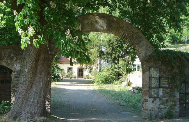 Lindenblatt ' Right - Foto 23