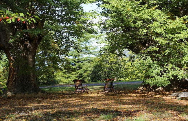 Mt Vernon Villa - Foto 22