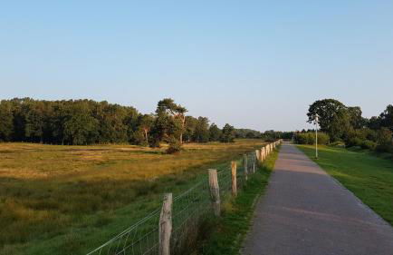 Strandlust - Foto 43