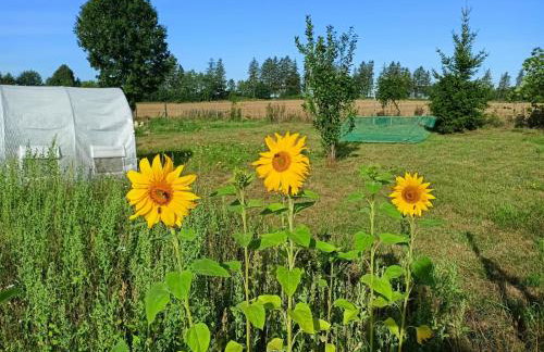 Świerkowe Siedlisko pokoje gościnne - Foto 27