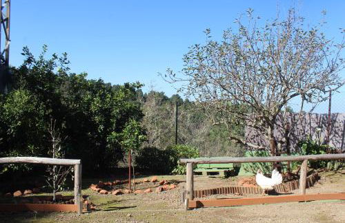 Finca Esther - Foto 26