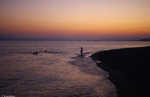 Garden house escape - Foto 40