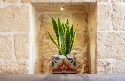 Trama Stays - Foto 11