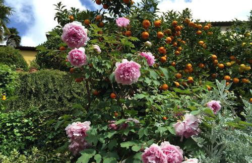 Residenza Buggiano Antica B&B - Charme Apartment in Tuscany - Foto 63