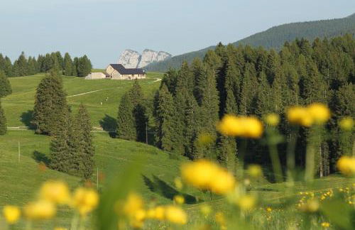 Chalet Laila - Foto 35