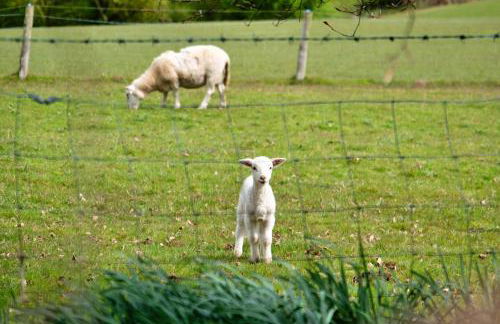 Finest Retreats - Hay and Hedgerow Glamping - Foto 4