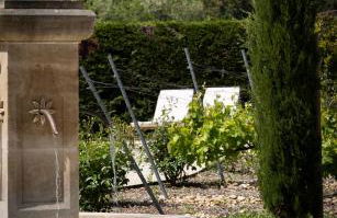 Mas des Cèdres - Photo 3