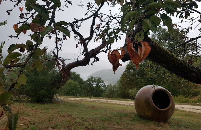 Locanda Colle Cerqueto - Photo 20