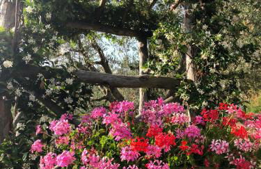 Agriturismo La Casella - Foto 7