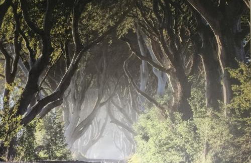 Dark Hedges Cottage - Foto 7