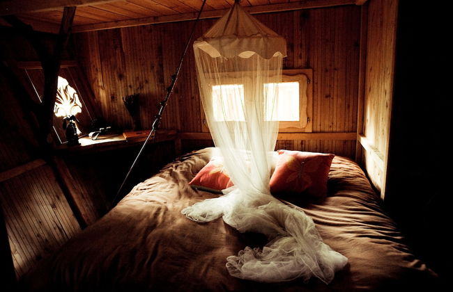 L'Arbre à Cabane - Foto 3