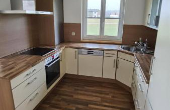 Niedergerner Alpaka Ranch Groß - Foto 2