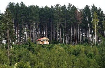 Off-Grid Cabin Nestled Among Nature with Lovely Landscape Views in Maine - Foto 29