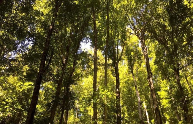 Cosy Mobile Home in Toscana With Shared Pool - Photo 40