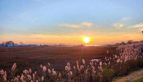 Great Hammock Getaway - Foto 2