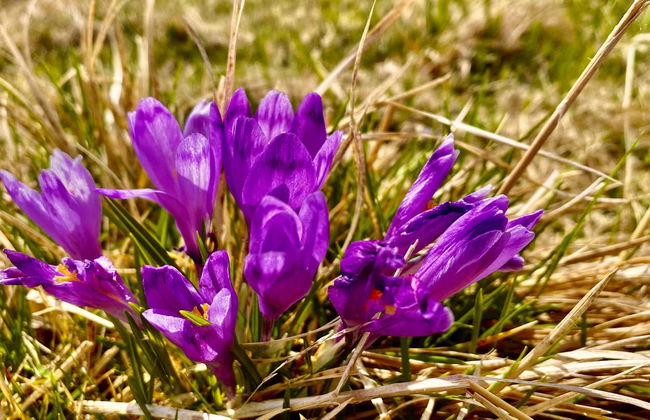 Senderismo por Ciocanu - Foto 4