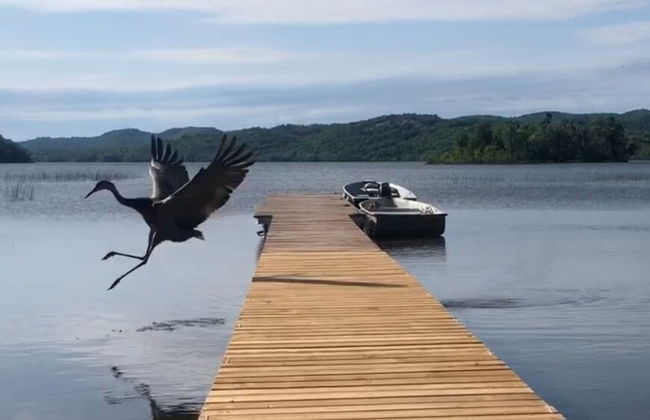 Staying by the Lakeside Cottages - Foto 75