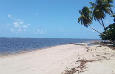 Casa Porto de Pedras_Patacho_Milagres - Foto 52