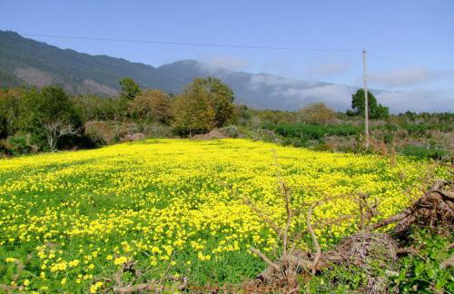 Villas Las Cercas - Photo 76