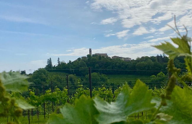 Premium Private Prosecco Hills Tour - 2 Cantine. Tour privato. - Foto 49