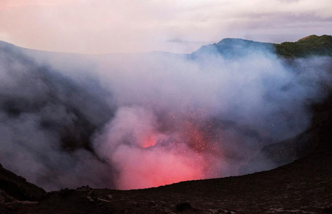 Castle Tree House - Photo 14