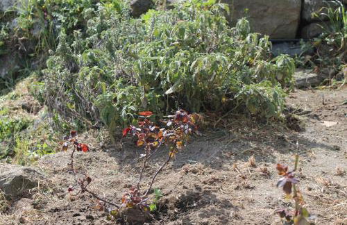 Il Dammuso di Tanit - Foto 27