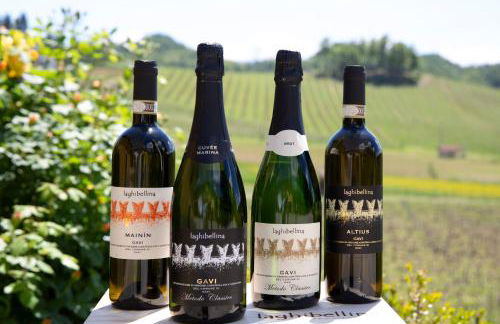 Azienda Agricola La Ghibellina - Foto 35