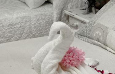 FINCA LOS CHATOS - Foto 9