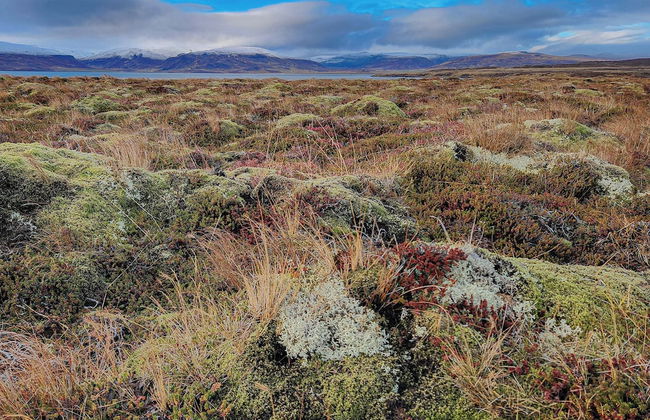 Mystic Light Lodge - Foto 18