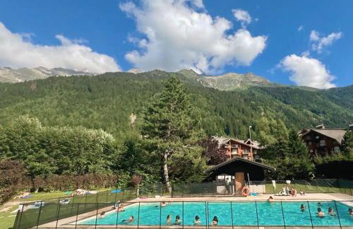 Studio Premium - Tour du MontBlanc - Piscine - Vue Dôme de Miage - Foto 4