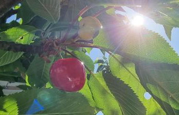 Noclegi u Babci Gieni - Foto 8